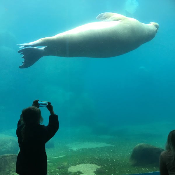 post_0795_zoobesuch_2 post_0795_zoobesuch_2