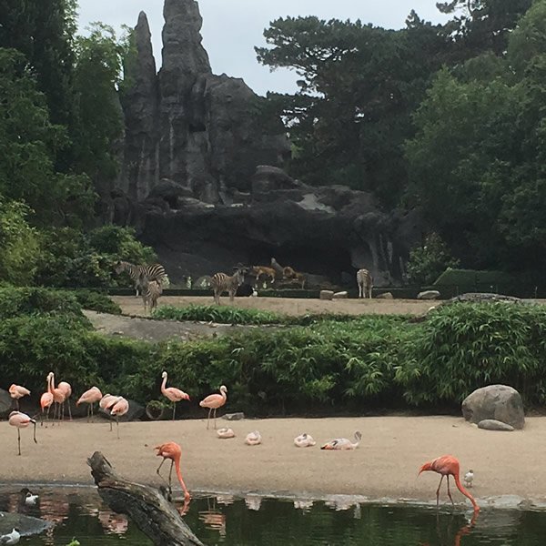 post_0795_zoobesuch_3 post_0795_zoobesuch_3