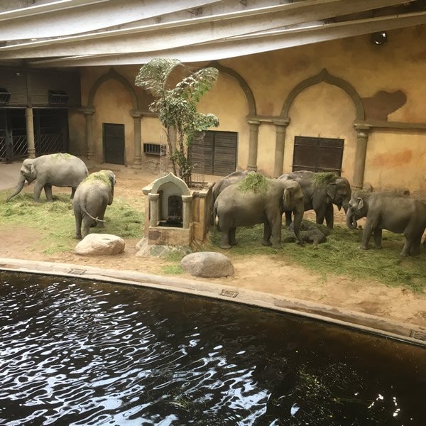 post_0795_zoobesuch_4 post_0795_zoobesuch_4