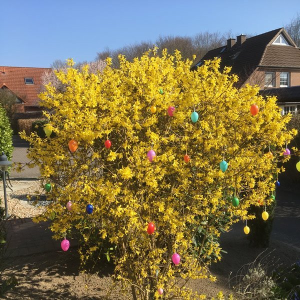 post_0900_etwas_andere_ostern_1