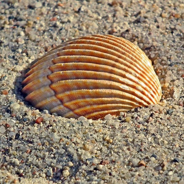post_0978_reisetipps_daenemark_nordjuetland_13