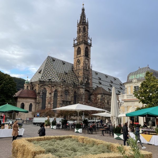 post_1104_jahresrueckblick_2023_10 post_1104_jahresrueckblick_2023_10