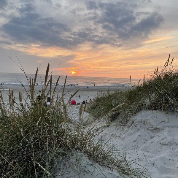 post_1104_jahresrueckblick_2023_8 post_1104_jahresrueckblick_2023_8
