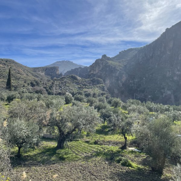post_1121_granada_17 post_1121_granada_17