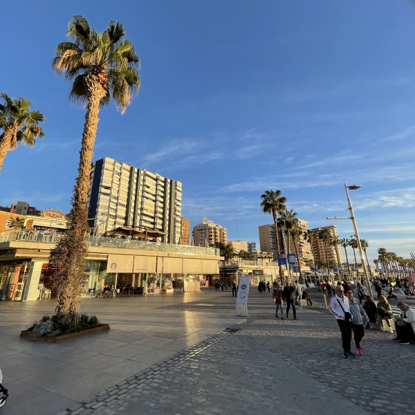 post_1129_malaga_6 post_1129_malaga_6