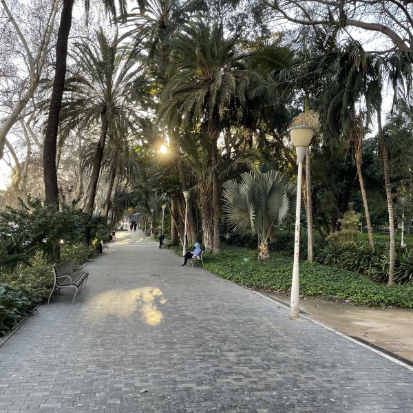 post_1129_malaga_9 post_1129_malaga_9