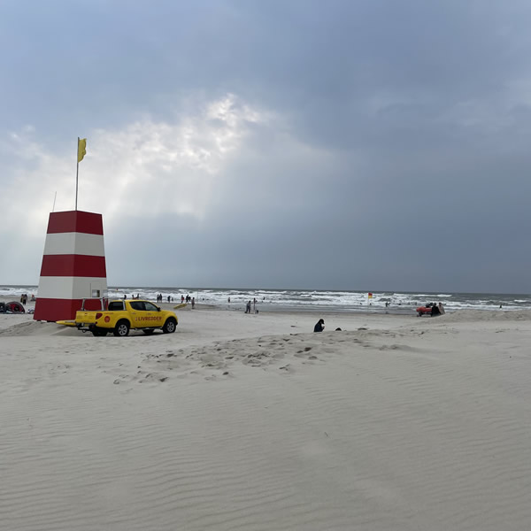 post_1152_jahresrueckblick_2024_14 post_1152_jahresrueckblick_2024_14