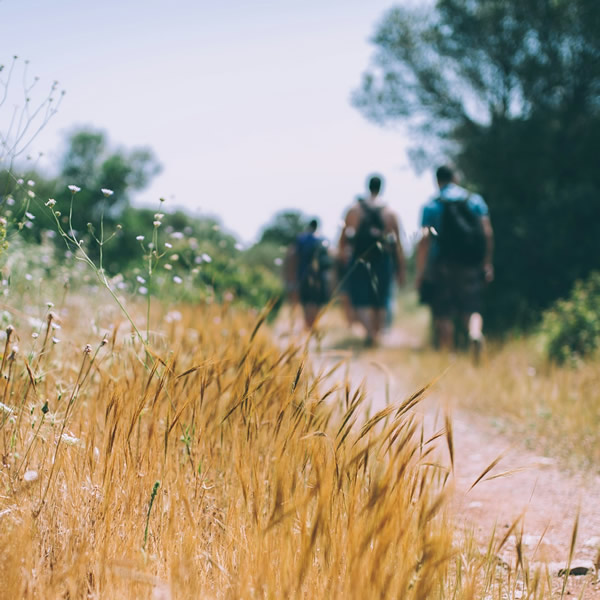 post_1157_mein_trekking_trainingsplan_2 post_1157_mein_trekking_trainingsplan_2