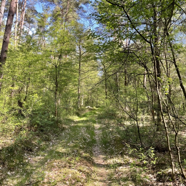 post_1172_ausruestungstest_50_km_3_tage_2_naechte_10 post_1172_ausruestungstest_50_km_3_tage_2_naechte_10