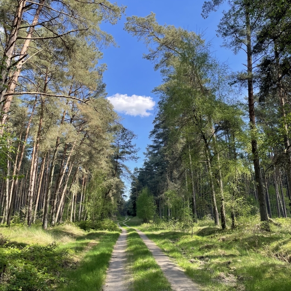 post_1172_ausruestungstest_50_km_3_tage_2_naechte_9 post_1172_ausruestungstest_50_km_3_tage_2_naechte_9