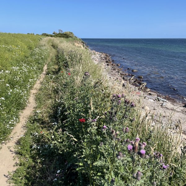 post_1181_fehmarn_umrundung_teil_1_10 post_1181_fehmarn_umrundung_teil_1_10