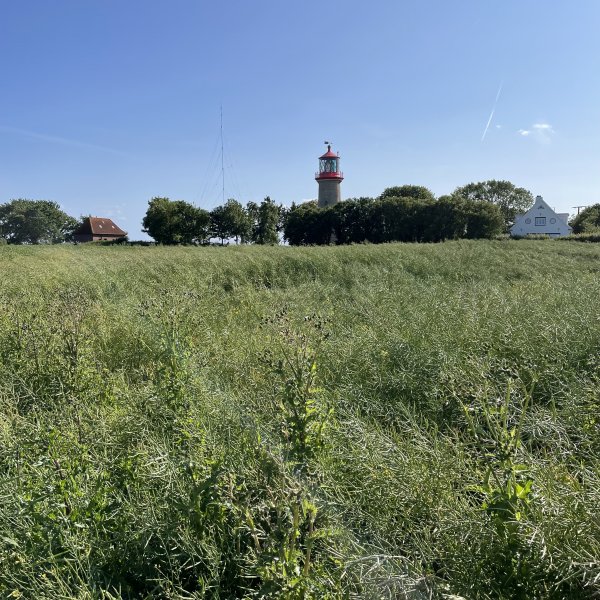 post_1181_fehmarn_umrundung_teil_1_12 post_1181_fehmarn_umrundung_teil_1_12