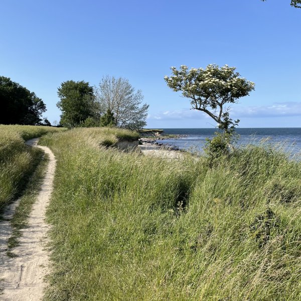 post_1181_fehmarn_umrundung_teil_1_13 post_1181_fehmarn_umrundung_teil_1_13