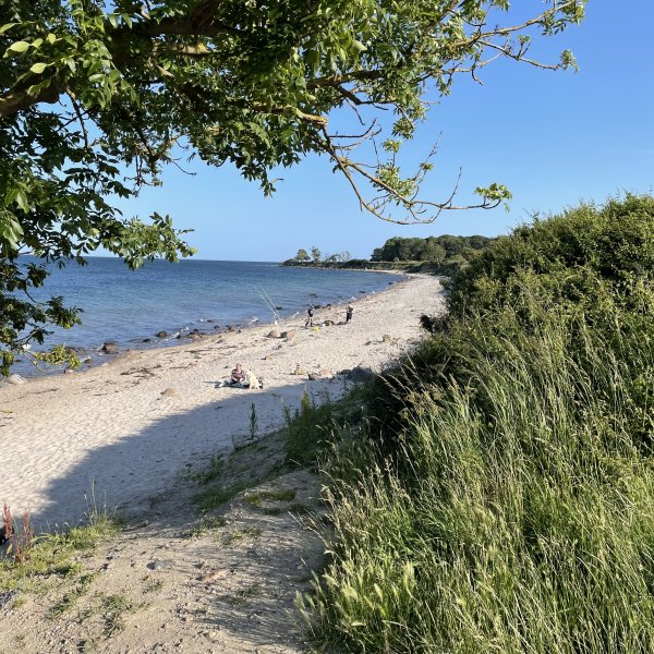 post_1181_fehmarn_umrundung_teil_1_14 post_1181_fehmarn_umrundung_teil_1_14