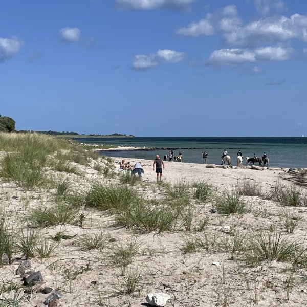 post_1181_fehmarn_umrundung_teil_1_8 post_1181_fehmarn_umrundung_teil_1_8