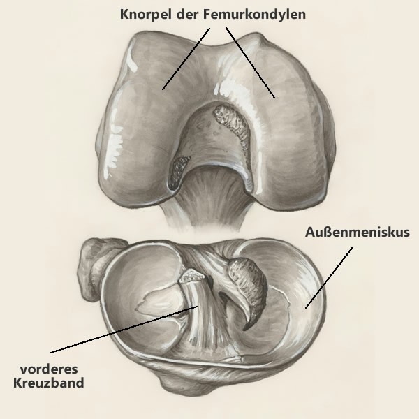 post_1183_aus_der_traum_gendarmstien_3 post_1183_aus_der_traum_gendarmstien_3