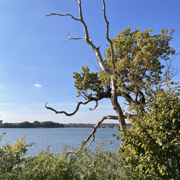 post_1193_nybol_nor_runde_1