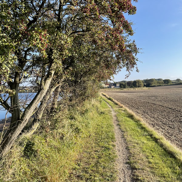 post_1193_nybol_nor_runde_7