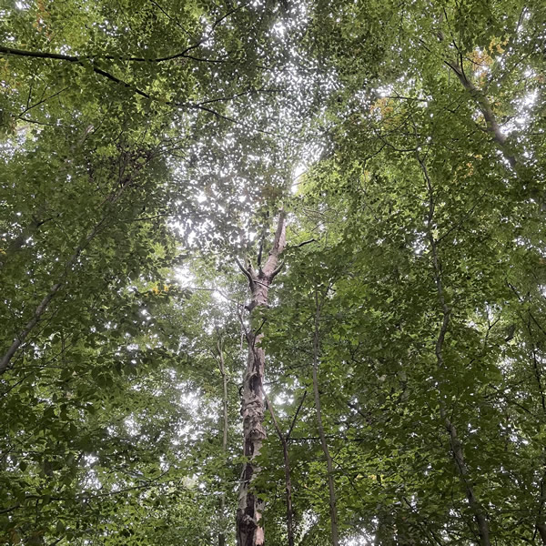 post_1197_uebergangssetup_2