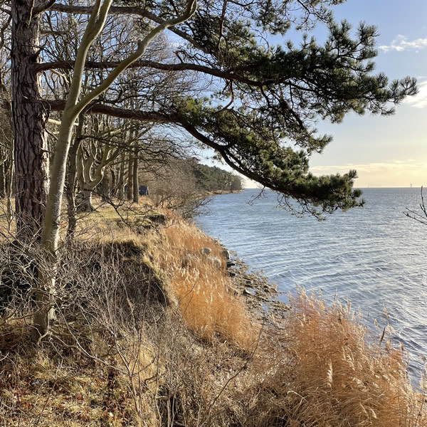 post_1208_3_winterwanderungen_1