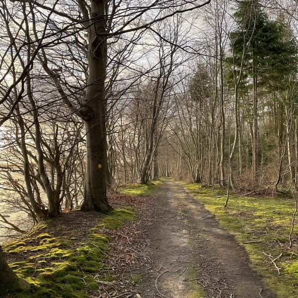 post_1208_3_winterwanderungen_12