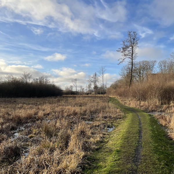 post_1208_3_winterwanderungen_13