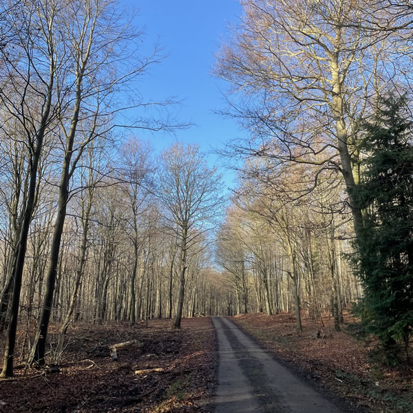 post_1208_3_winterwanderungen_2