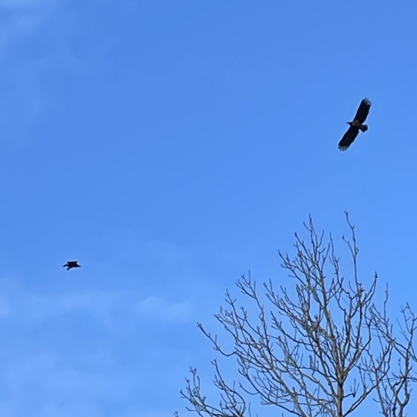 post_1208_3_winterwanderungen_5