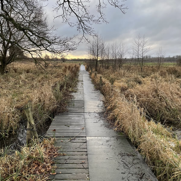 post_1208_3_winterwanderungen_7