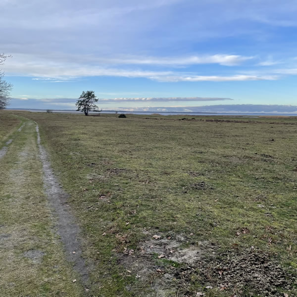 post_1212_winterliche_nyord_tour_11