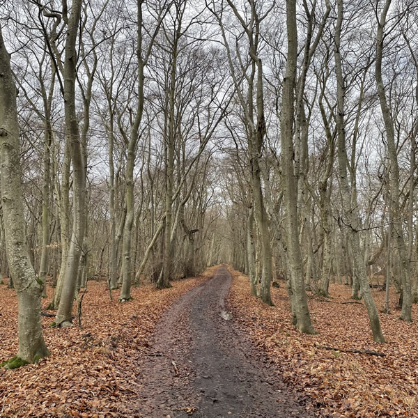 post_1212_winterliche_nyord_tour_3