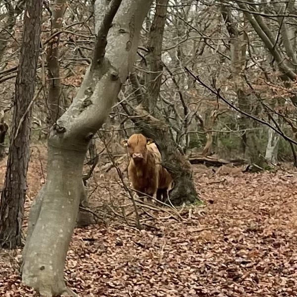 post_1212_winterliche_nyord_tour_4