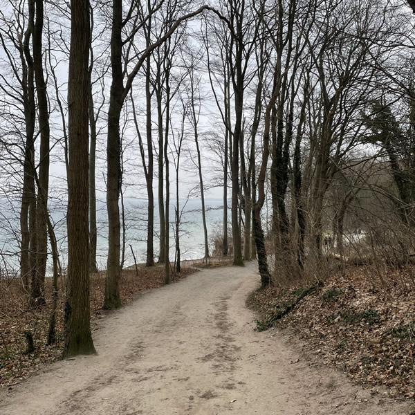 post_1220_winterwanderung_brodtener_ufer_7