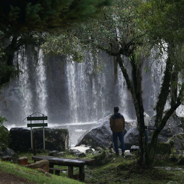 post_1223_shirin_yoku_1