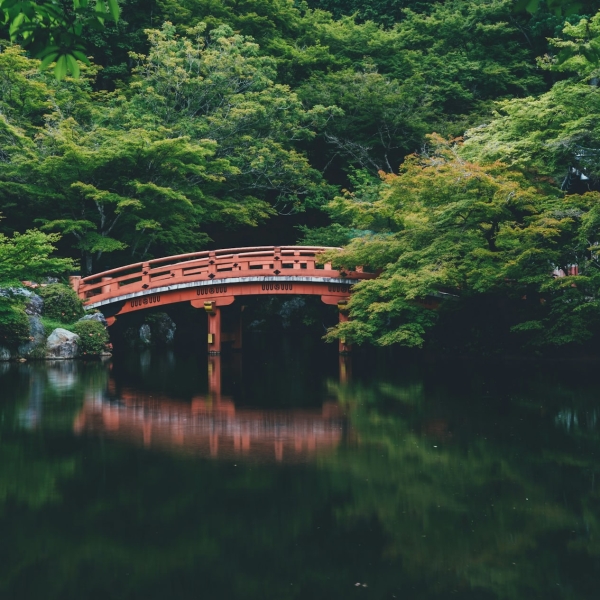 post_1223_shirin_yoku_2