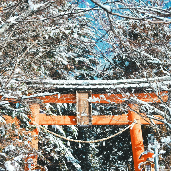 post_1223_shirin_yoku_5