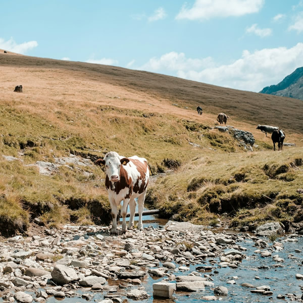 post_1226_wahrheit_weitwandern_3