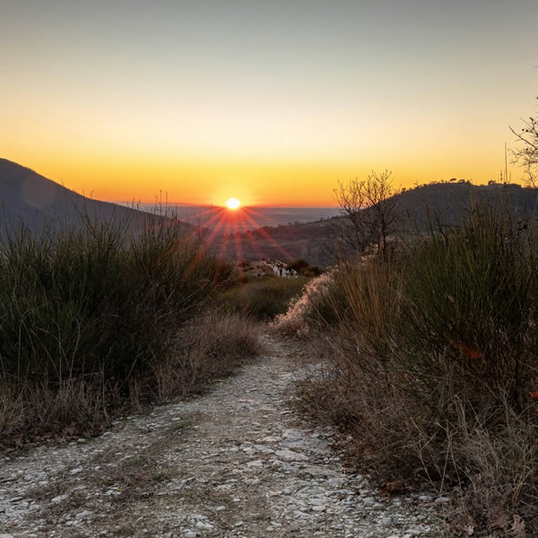 post_1230_post_trail_depression_2