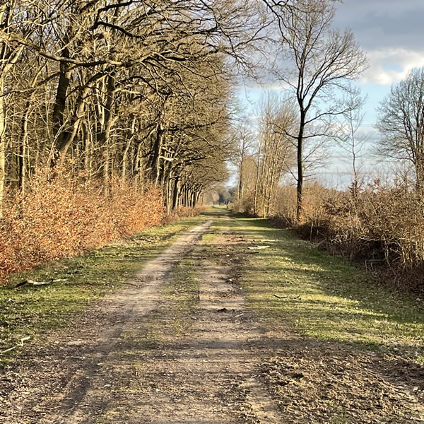 post_1234_post_trail_depression_vorbeugen_1