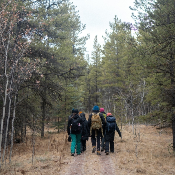 post_1234_post_trail_depression_vorbeugen_3