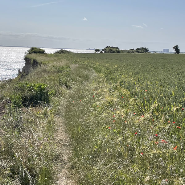 post_1234_post_trail_depression_vorbeugen_6