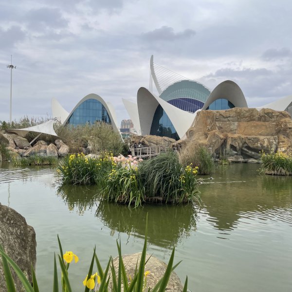 post_1235_barcelona_valencia_16