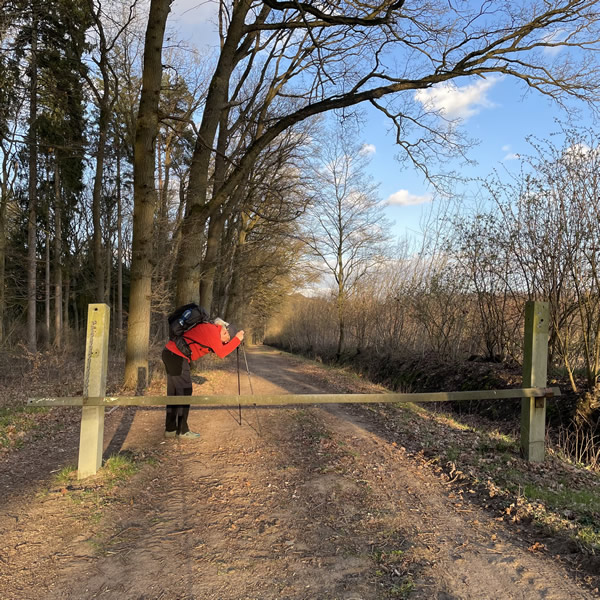 post_1238_post_trail_depression_bewaeltigen_1