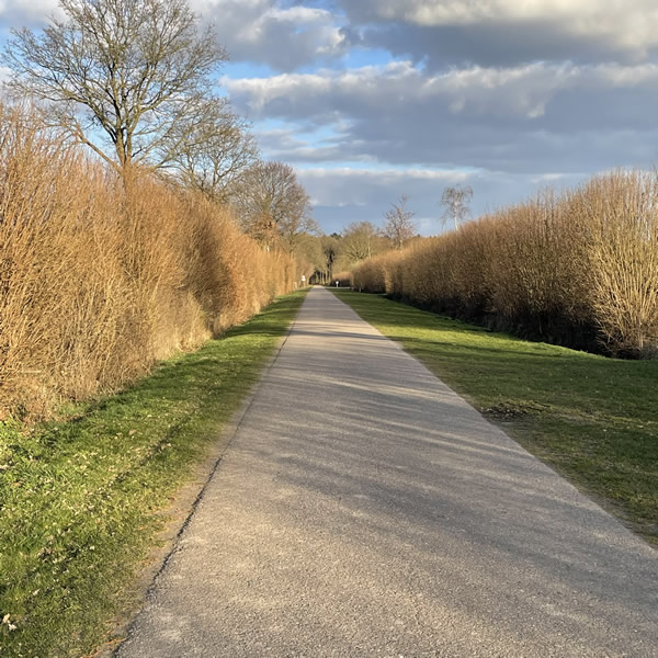 post_1238_post_trail_depression_bewaeltigen_4