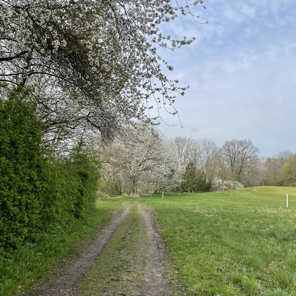 post_1240_hemmelsdorfer_see_runde_3