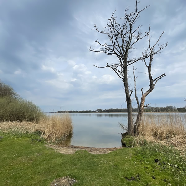 post_1240_hemmelsdorfer_see_runde_5