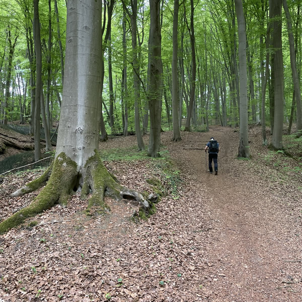 post_1246_post_mehrtageswanderung_8_fehler_3