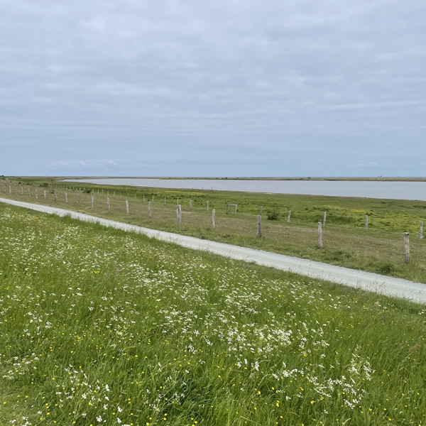 post_1250_fehmarn_umrundung_2_18