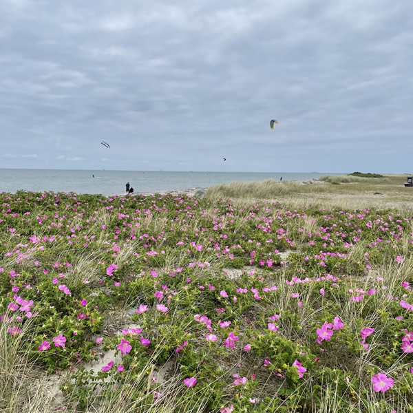 post_1250_fehmarn_umrundung_2_23