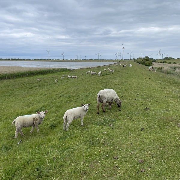 post_1250_fehmarn_umrundung_2_26